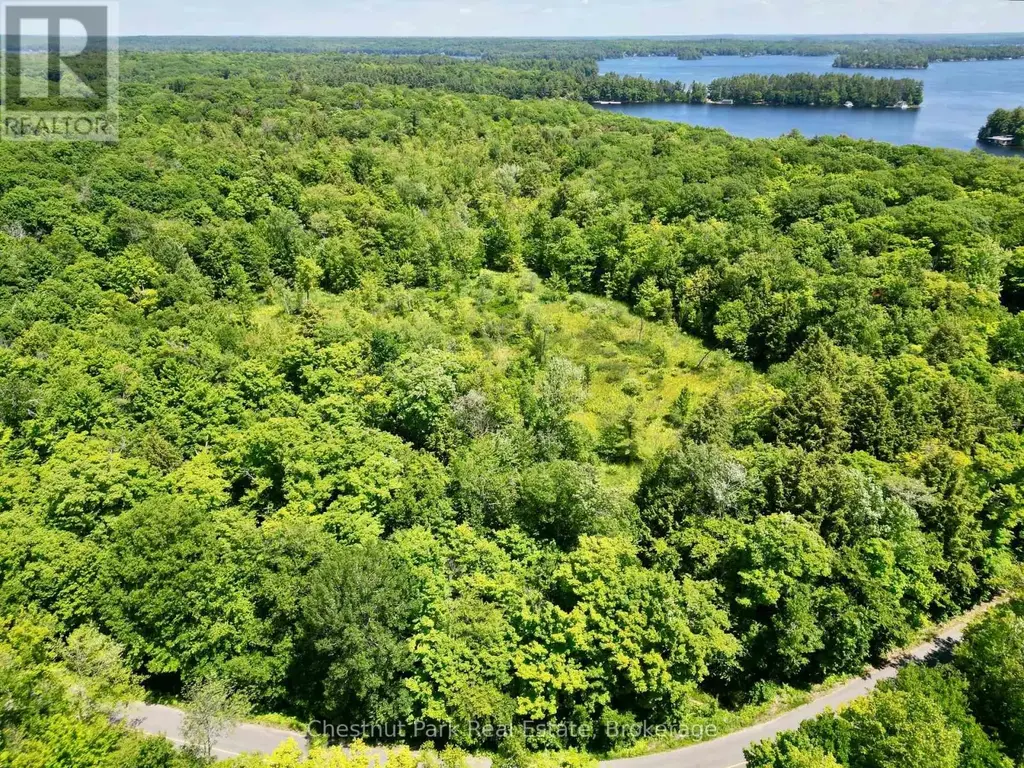 0 Acton Island Road, Muskoka Lakes (Medora)